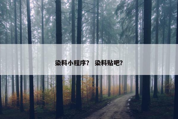 染料小程序？ 染料贴吧？