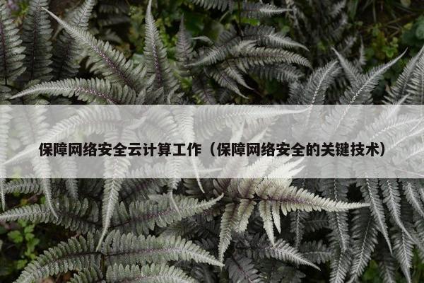 保障网络安全云计算工作（保障网络安全的关键技术）