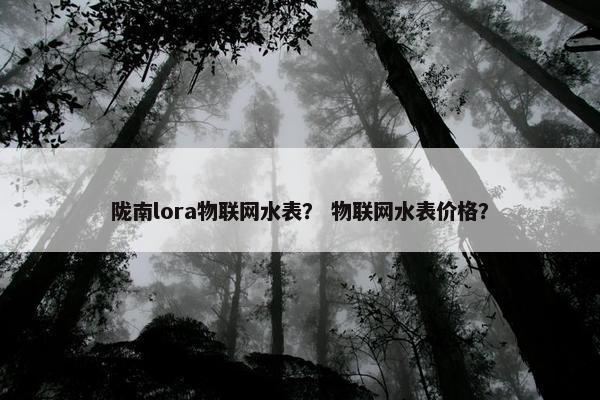 陇南lora物联网水表？ 物联网水表价格？