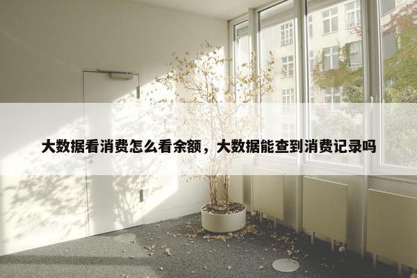 大数据看消费怎么看余额，大数据能查到消费记录吗