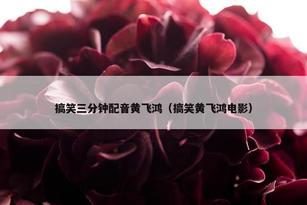 搞笑三分钟配音黄飞鸿（搞笑黄飞鸿电影）