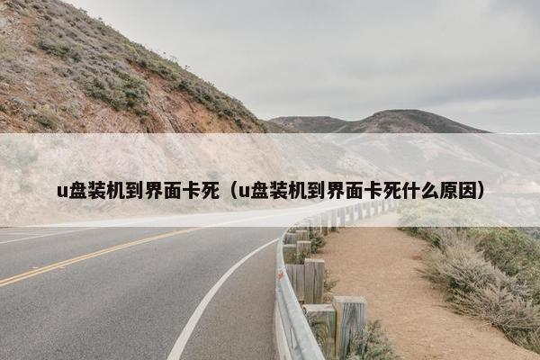 u盘装机到界面卡死（u盘装机到界面卡死什么原因）
