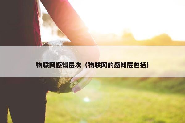 物联网感知层次（物联网的感知层包括）