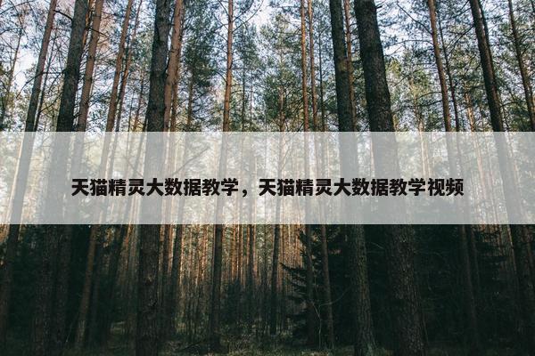 天猫精灵大数据教学，天猫精灵大数据教学视频