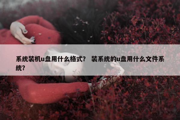 系统装机u盘用什么格式？ 装系统的u盘用什么文件系统？