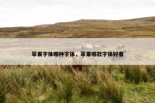 苹果字体哪种字体，苹果哪款字体好看