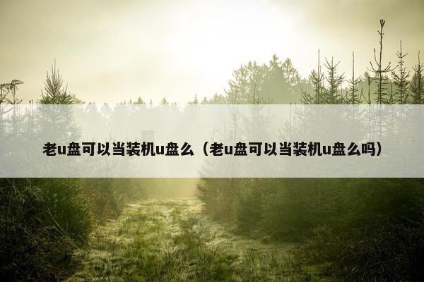 老u盘可以当装机u盘么（老u盘可以当装机u盘么吗）