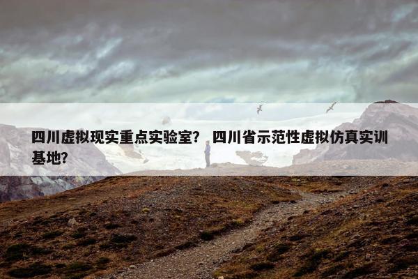 四川虚拟现实重点实验室？ 四川省示范性虚拟仿真实训基地？