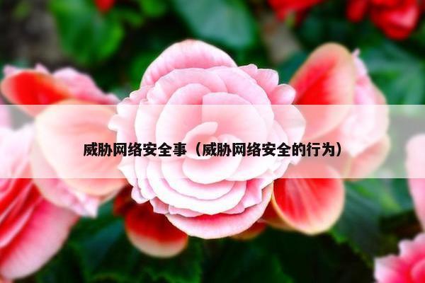 威胁网络安全事（威胁网络安全的行为）