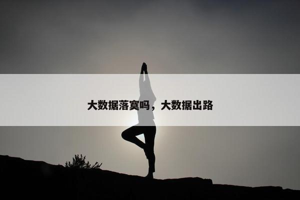 大数据落寞吗，大数据出路