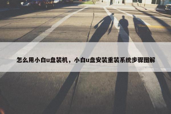怎么用小白u盘装机，小白u盘安装重装系统步骤图解