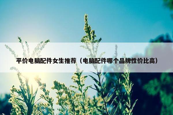 平价电脑配件女生推荐（电脑配件哪个品牌性价比高）