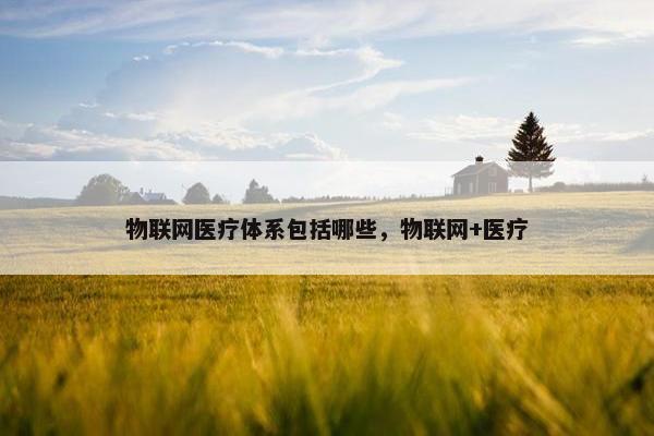物联网医疗体系包括哪些，物联网+医疗
