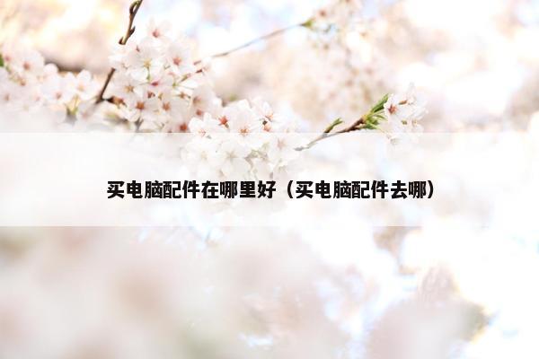 买电脑配件在哪里好（买电脑配件去哪）