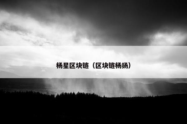 杨星区块链（区块链杨扬）