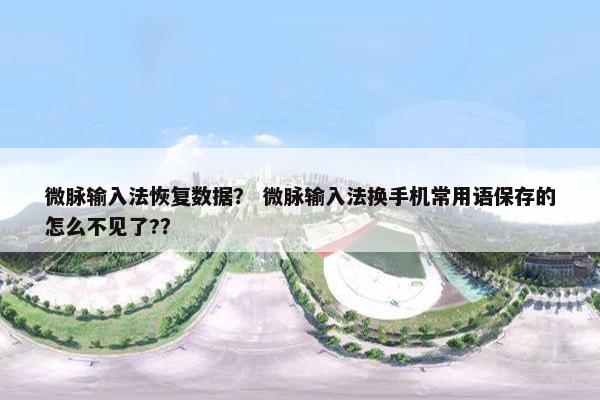 微脉输入法恢复数据？ 微脉输入法换手机常用语保存的怎么不见了?？