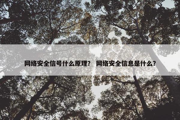 网络安全信号什么原理？ 网络安全信息是什么？