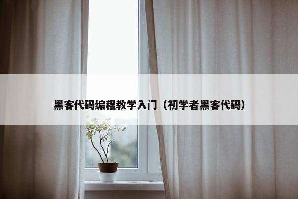 黑客代码编程教学入门（初学者黑客代码）