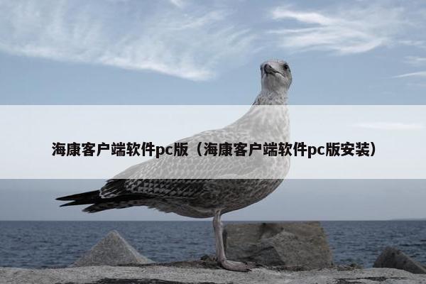 海康客户端软件pc版（海康客户端软件pc版安装）