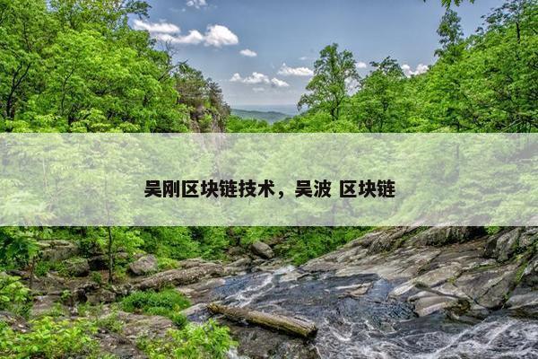 吴刚区块链技术，吴波 区块链
