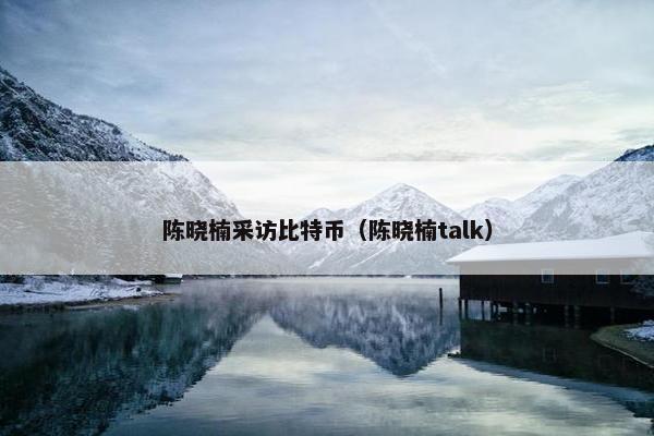 陈晓楠采访比特币（陈晓楠talk）