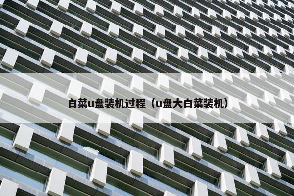 白菜u盘装机过程（u盘大白菜装机）