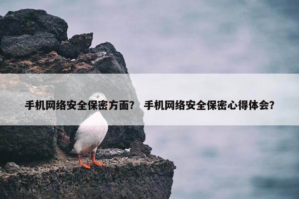 手机网络安全保密方面？ 手机网络安全保密心得体会？