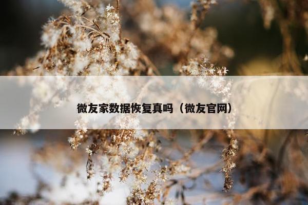 微友家数据恢复真吗（微友官网）
