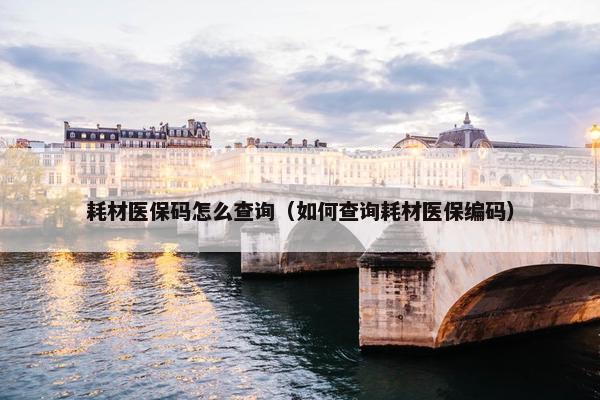 耗材医保码怎么查询（如何查询耗材医保编码）