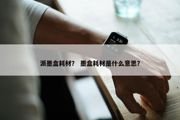 派墨盒耗材？ 墨盒耗材是什么意思？