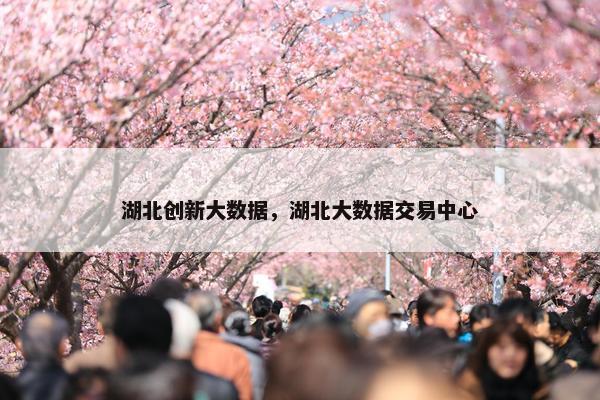 湖北创新大数据，湖北大数据交易中心