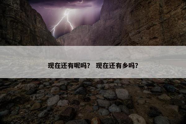 现在还有呢吗？ 现在还有乡吗？
