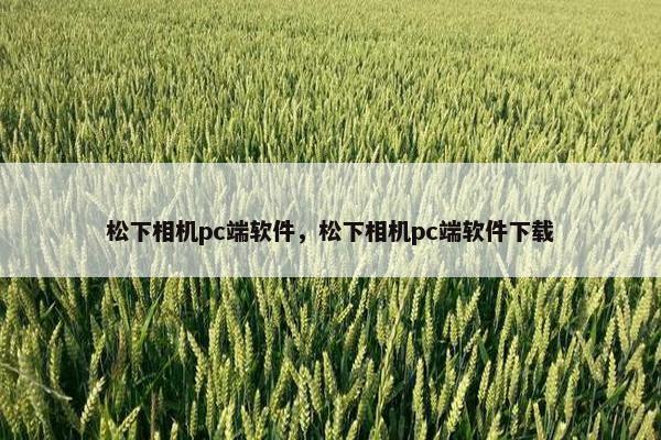 松下相机pc端软件，松下相机pc端软件下载