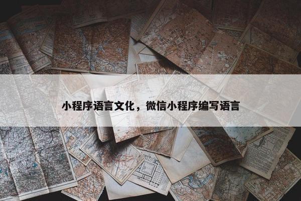 小程序语言文化，微信小程序编写语言