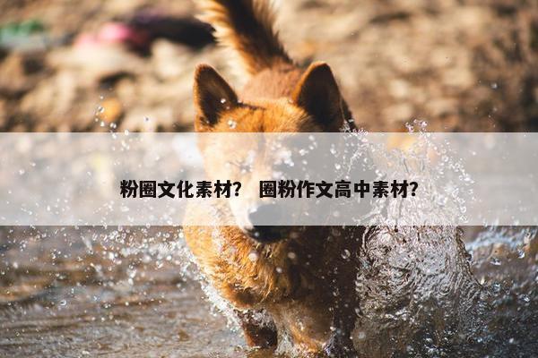 粉圈文化素材？ 圈粉作文高中素材？