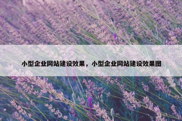 小型企业网站建设效果，小型企业网站建设效果图