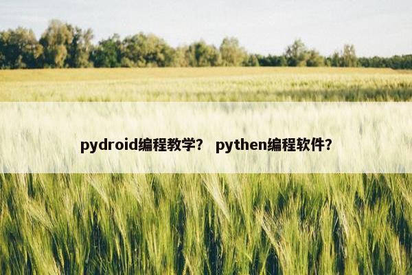 pydroid编程教学？ pythen编程软件？