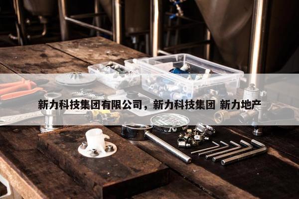 新力科技集团有限公司，新力科技集团 新力地产