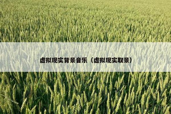 虚拟现实背景音乐（虚拟现实取景）