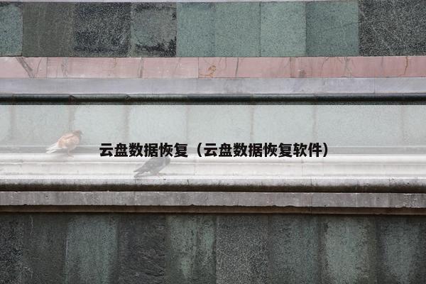 云盘数据恢复（云盘数据恢复软件）