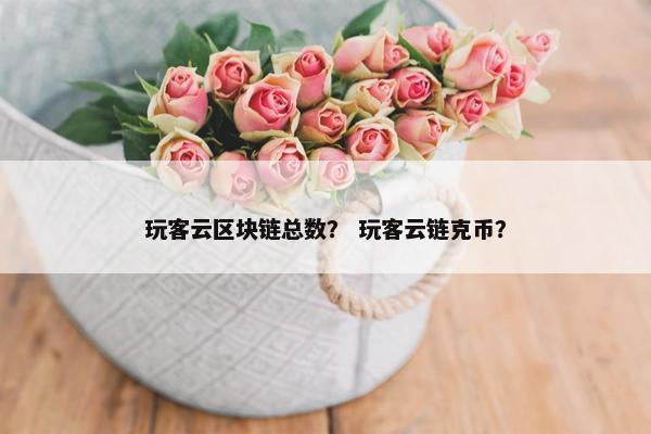 玩客云区块链总数？ 玩客云链克币？