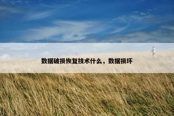 数据破损恢复技术什么，数据损坏