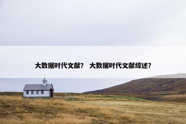大数据时代文献？ 大数据时代文献综述？
