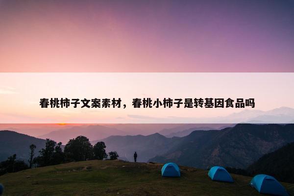 春桃柿子文案素材，春桃小柿子是转基因食品吗