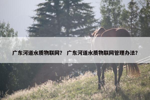 广东河道水质物联网？ 广东河道水质物联网管理办法？