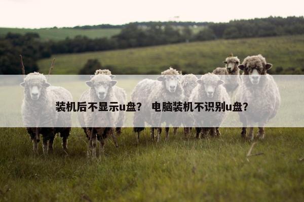 装机后不显示u盘？ 电脑装机不识别u盘？