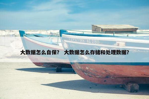 大数据怎么自保？ 大数据怎么存储和处理数据？