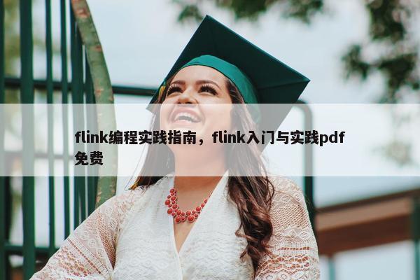 flink编程实践指南，flink入门与实践pdf免费