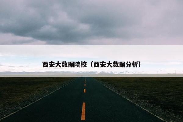 西安大数据院校（西安大数据分析）