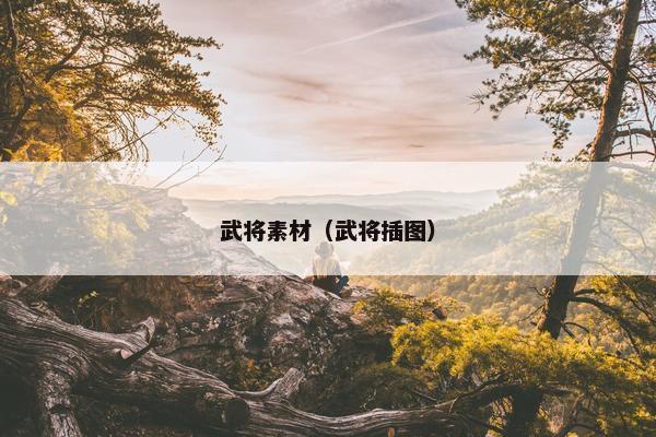 武将素材（武将插图）